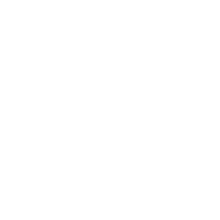 X icon